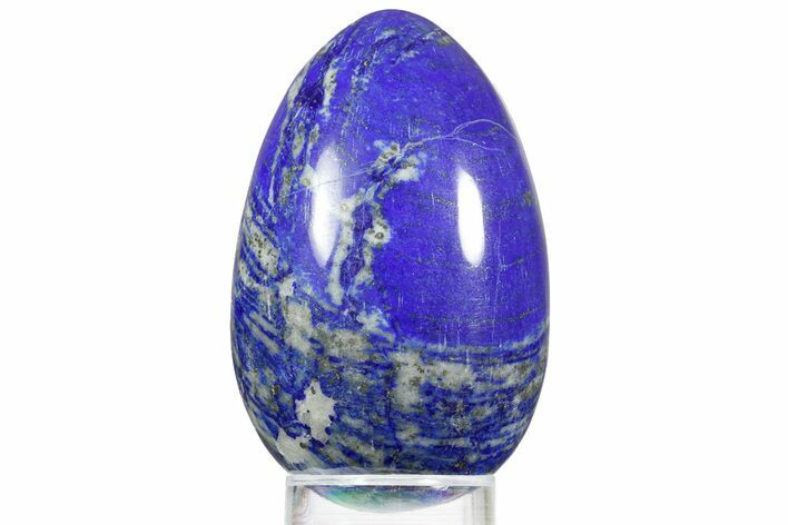 Polished Lapis Lazuli Egg - Pakistan #352504